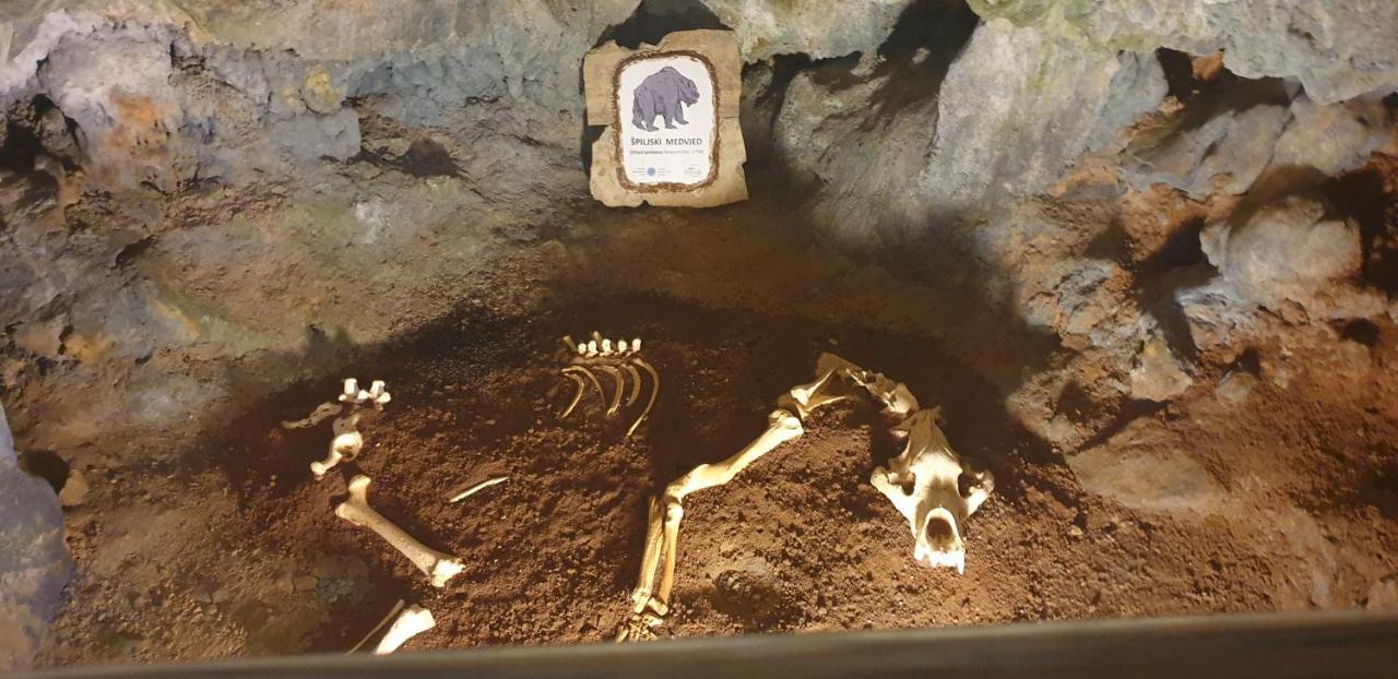 Villa Carpe Diem فانتاسيسي المظهر الخارجي الصورة